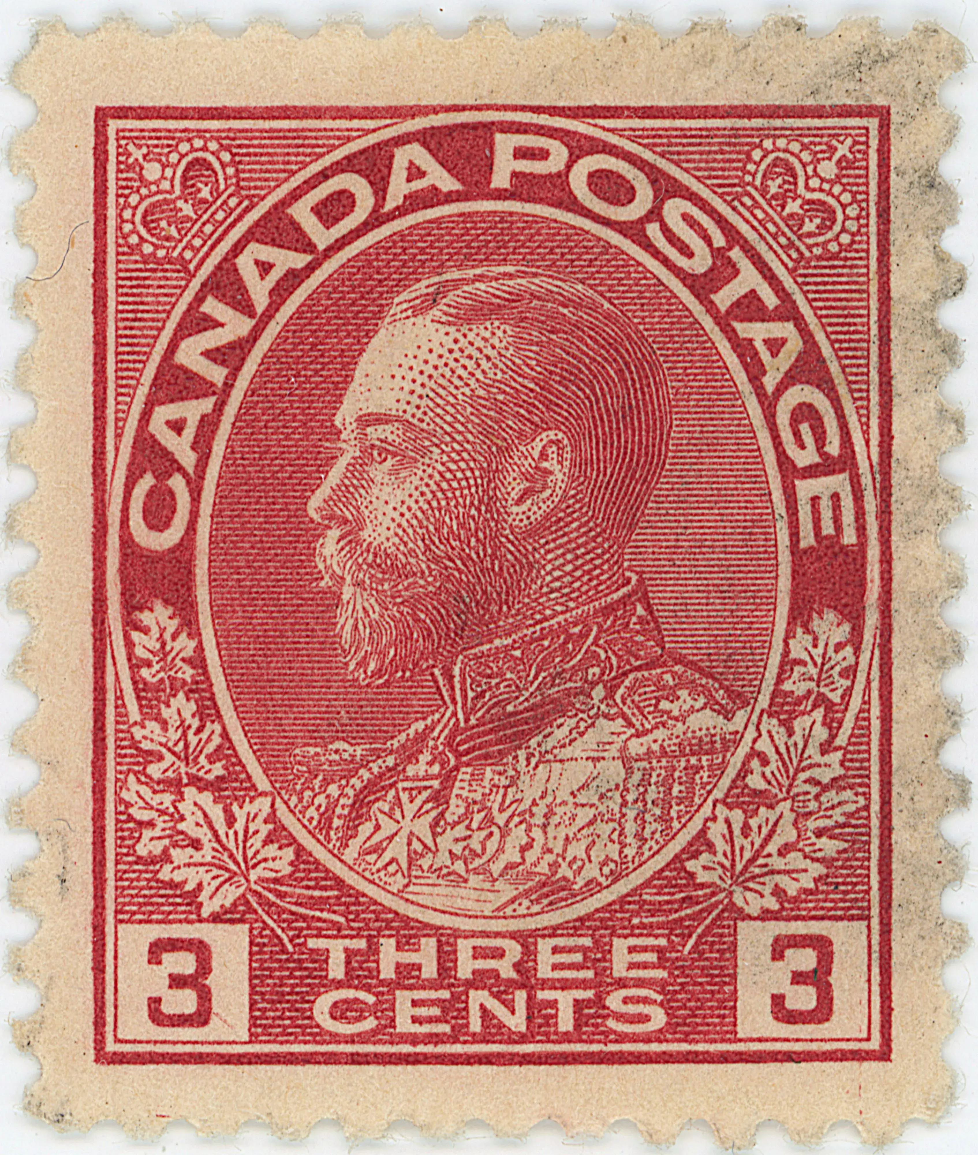 3¢C TLD 45L d.webp